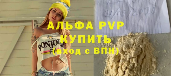 гидра Богданович