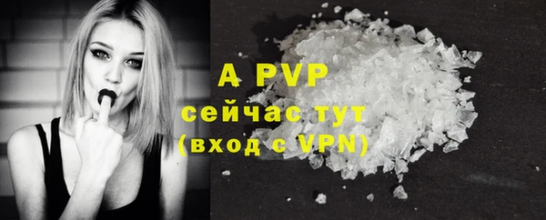 гидра Богданович