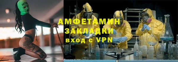 шишки Богородицк