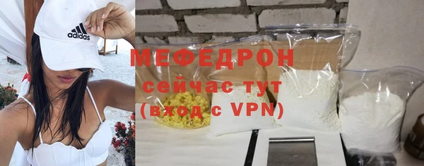 гидра Богданович