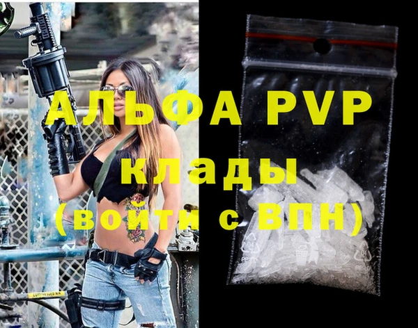 гидра Богданович