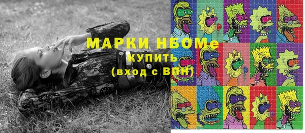 прущие грибы Богородск