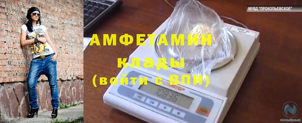СК Болотное