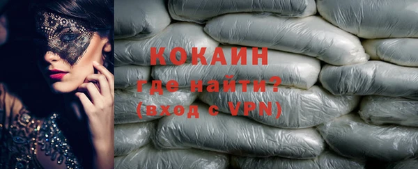 прущие грибы Богородск