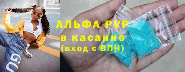 гидра Богданович